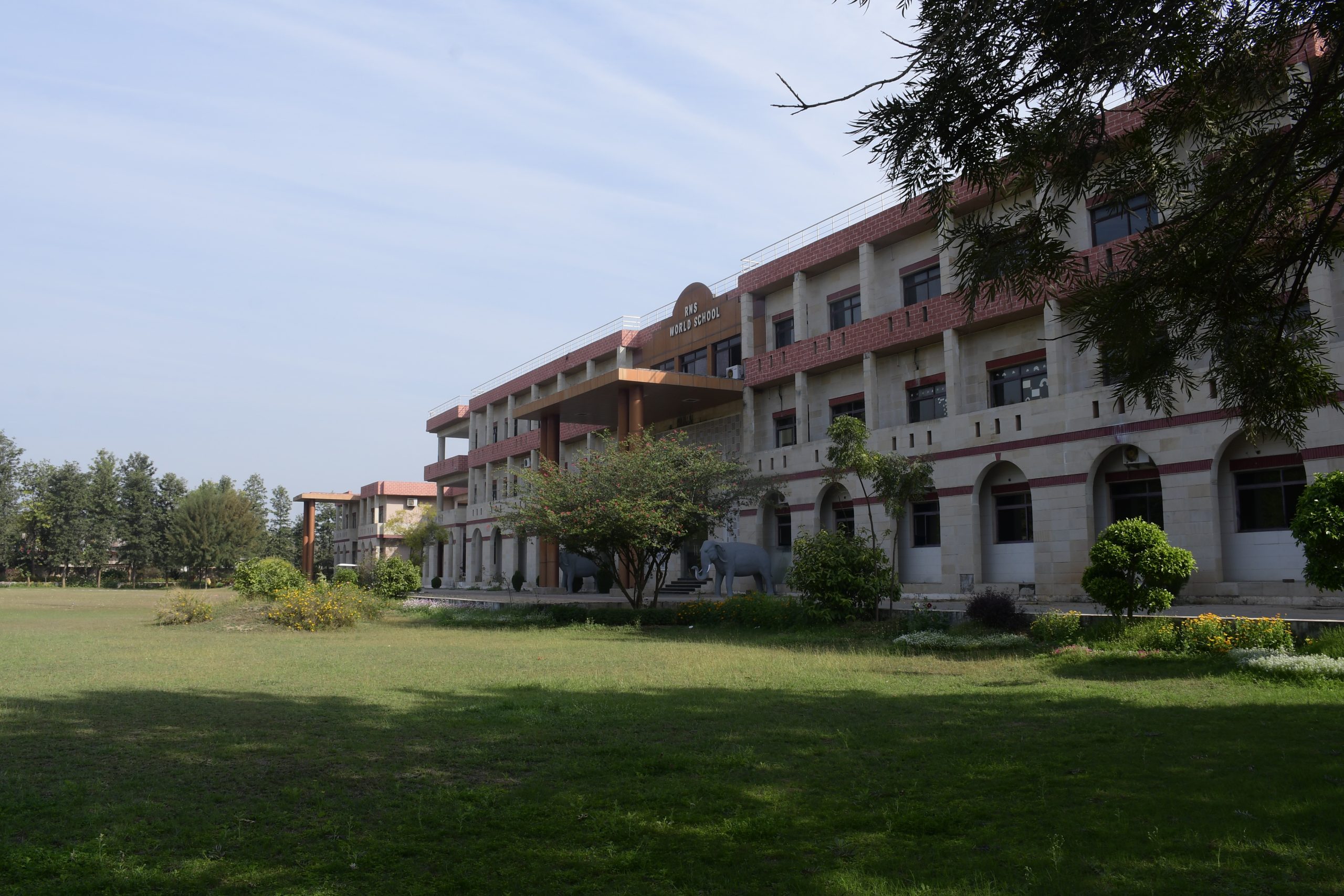 School Background